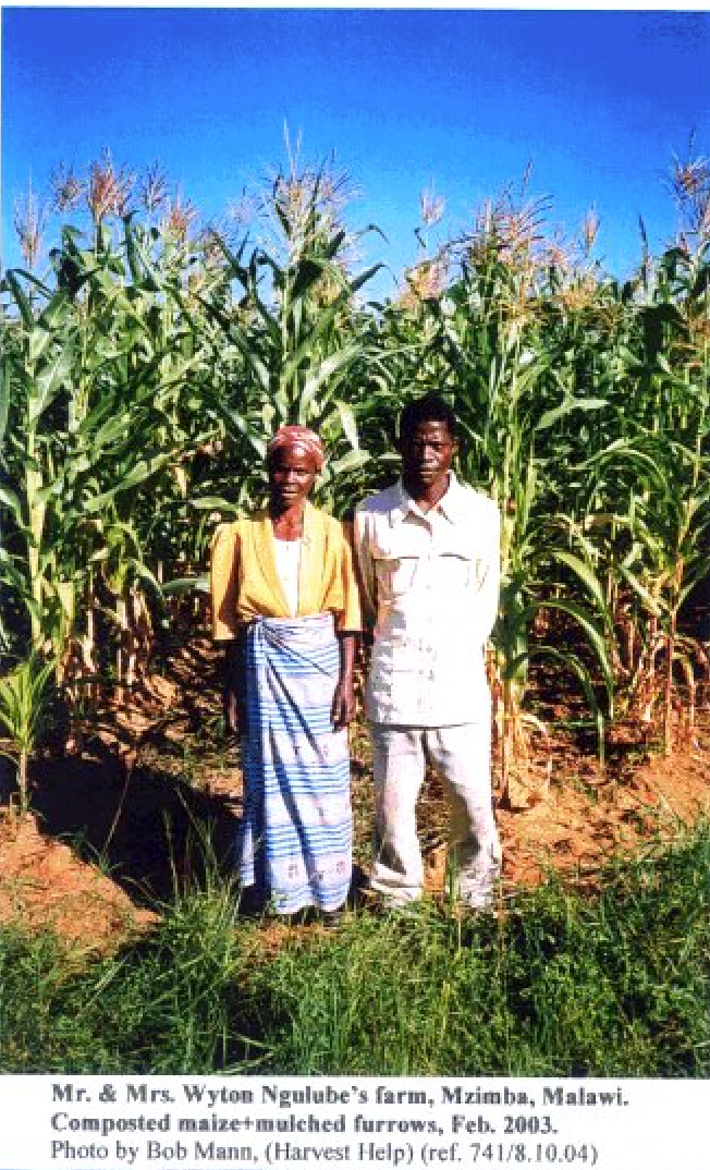 Mr & Mrs Wyton Ngulube's Farm >