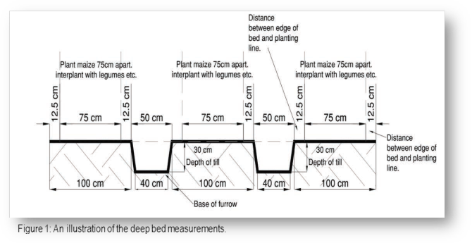 Deep Beds Diagram >