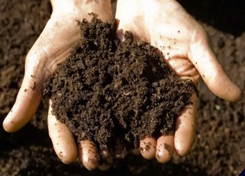 Healthy Organic Soil >