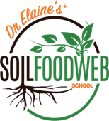 soil food web logo