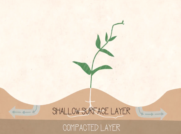 Soil Layers >