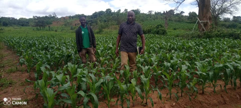 A Land resource conservation officer supervising some of the fields in Chitipa District.