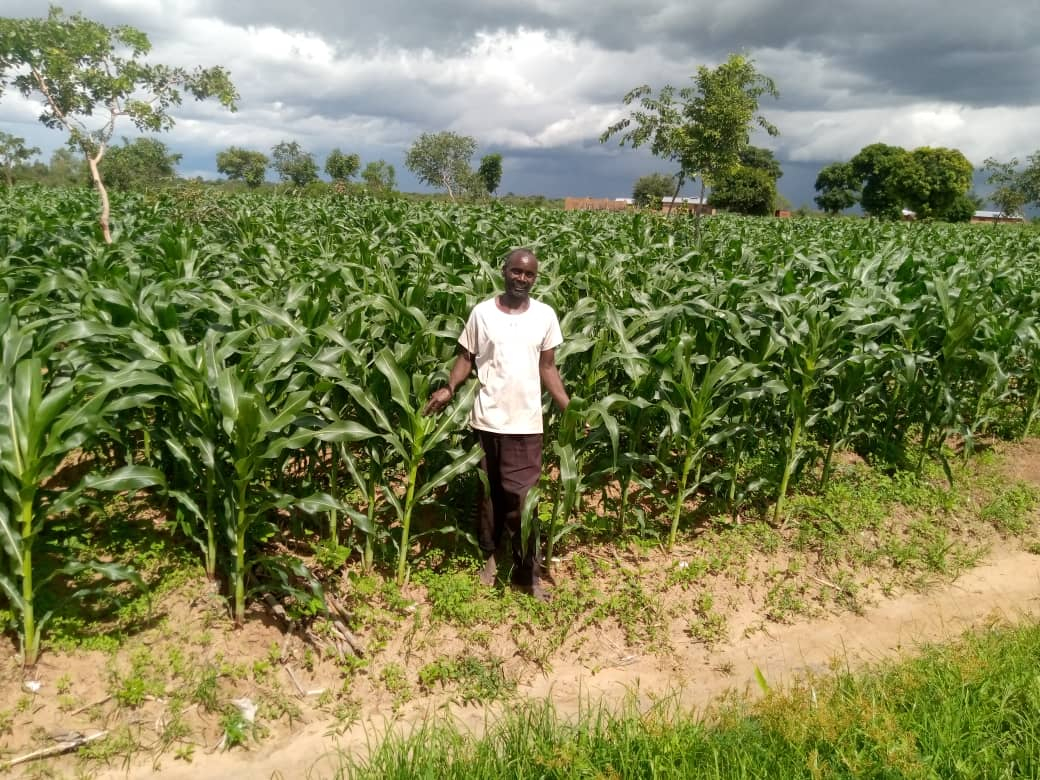Mr Kanjati in Manyamula has increased his deep bed fields after seeing the increased yields.
