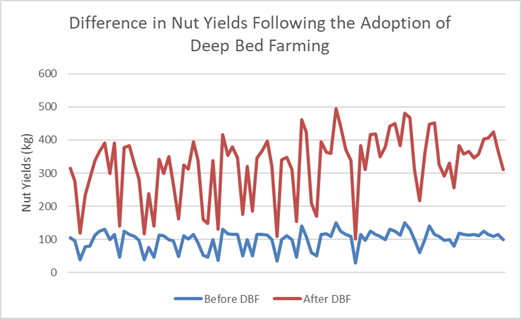 nut yield increases small