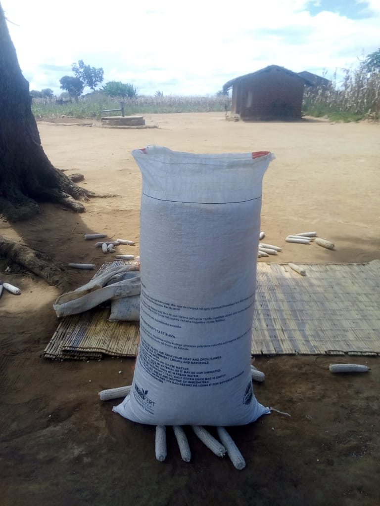 From a 10m x 10m plot of land one Tiyeni farmer harvested an excellent yield of 88kg of dried maize!