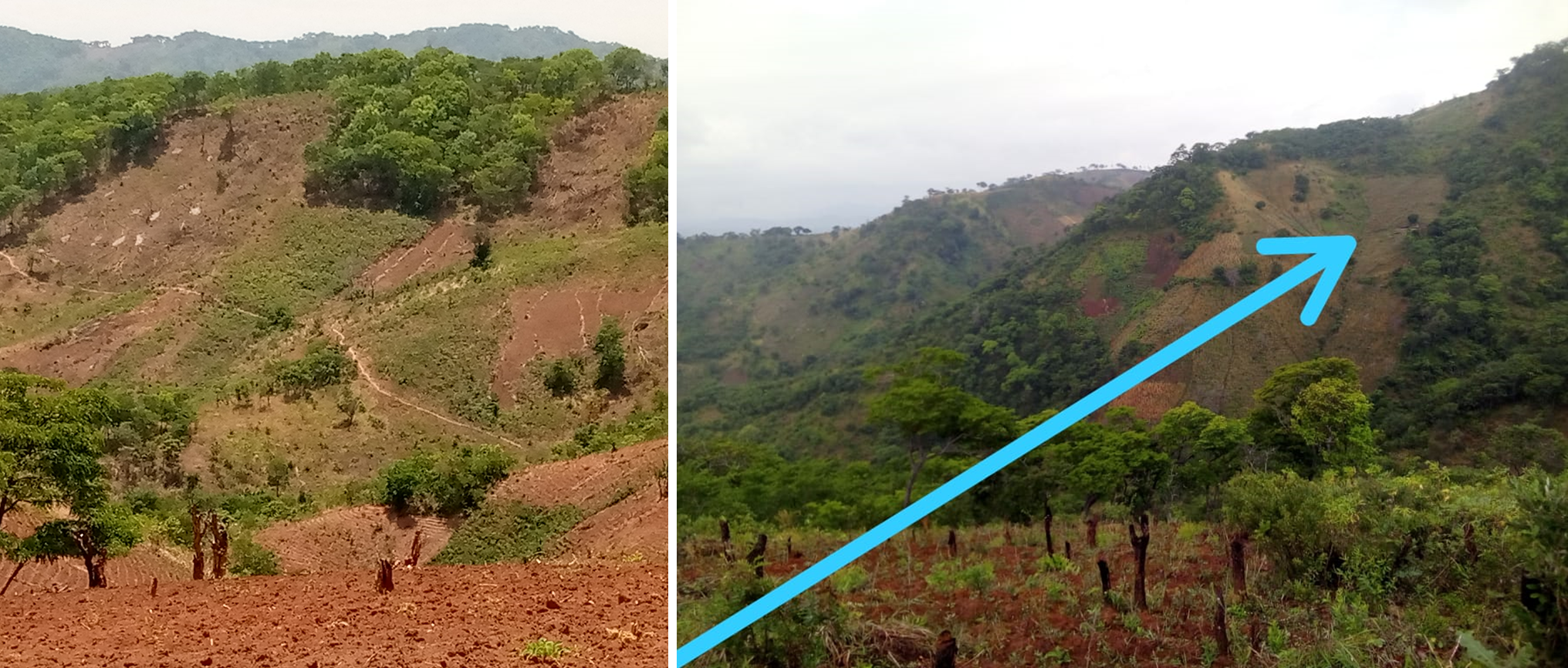 Hillslope, Cut & burn and Shifting cultivation in Chitheka cases degradation